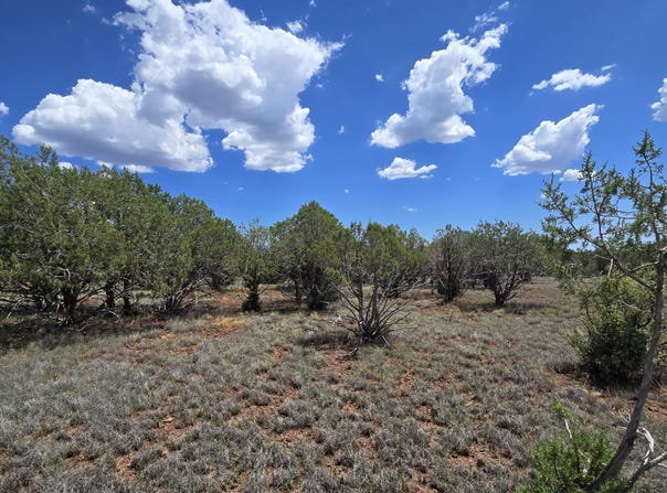 2470 N Luana Drive, Williams, AZ 86046