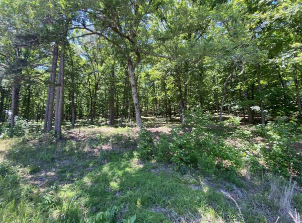 215 Watersedge Drive, Edgemont, AR 72044