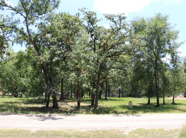 6 Deer Run, Star Harbor, TX 75148