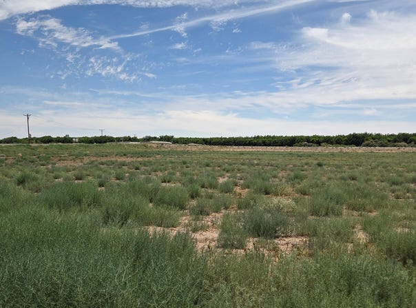 6525 Valle Del Rio Drive, La Mesa, NM 88044