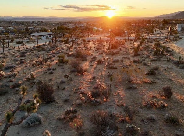 Saddleback Road, Joshua Tree, CA 92252