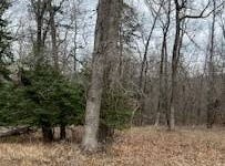 12 Tellico Trl, Murfreesboro, AR 71958