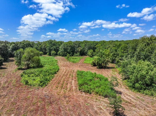 Private Road 1425, Centerville, TX 75833