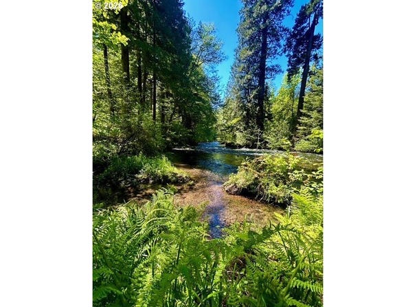 McKenzie Hwy, McKenzieBridge, OR 97413