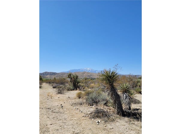 Palo Verde, Morongo Valley, CA 92256