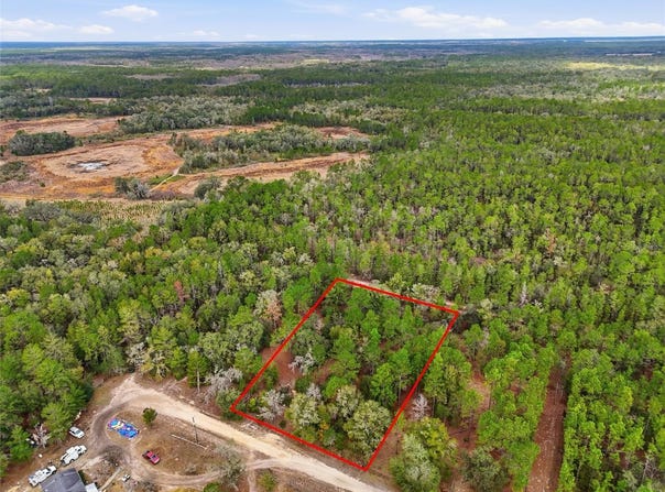 NE 111TH Lane, BRONSON, FL 32621