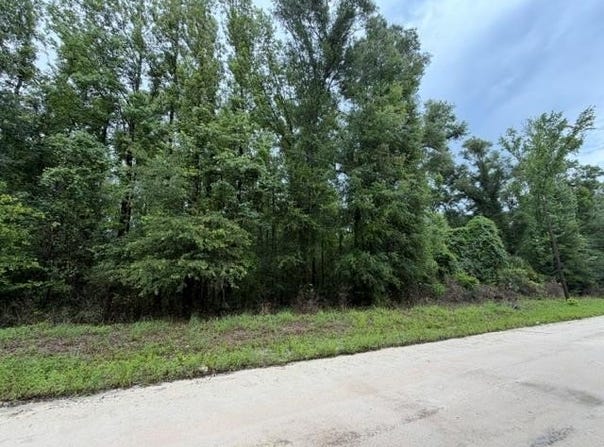 NE 312th Ave, Old Town, FL 32680