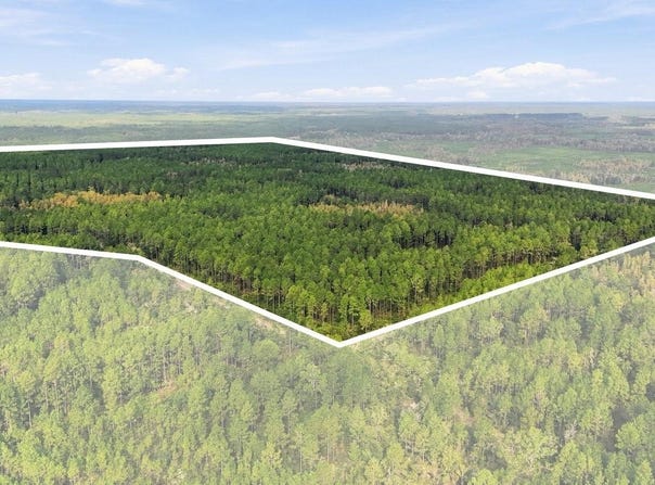DOC SMITH Road, BRONSON, FL 32621