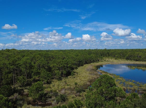 667 BALD POINT Road, Alligator Point, FL 32346