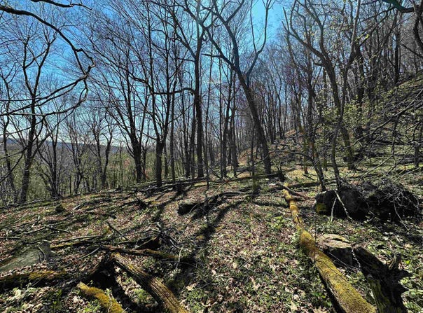 TBD MOUNTAIN LAKE Road, Newport, VA 24128