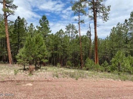 15 County Road 2083, Alpine, AZ 85920
