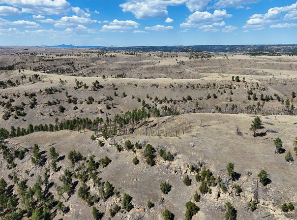 Gruenhagen Rd, Pine Haven, WY 82721