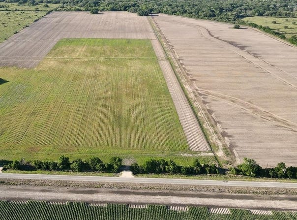 Harter Road (CR 343), Blessing, TX 77419