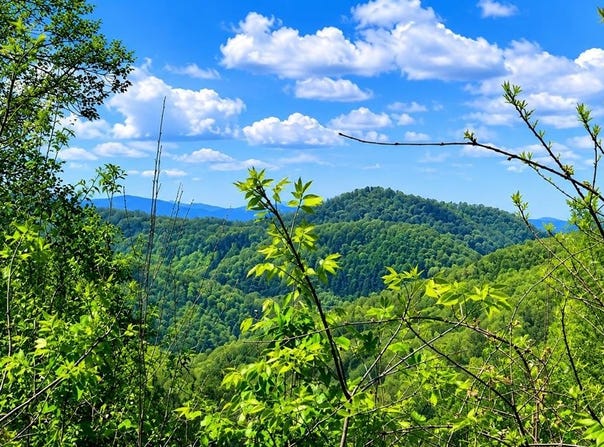 Garnet Rd lot: 18, Sylva, NC 28779
