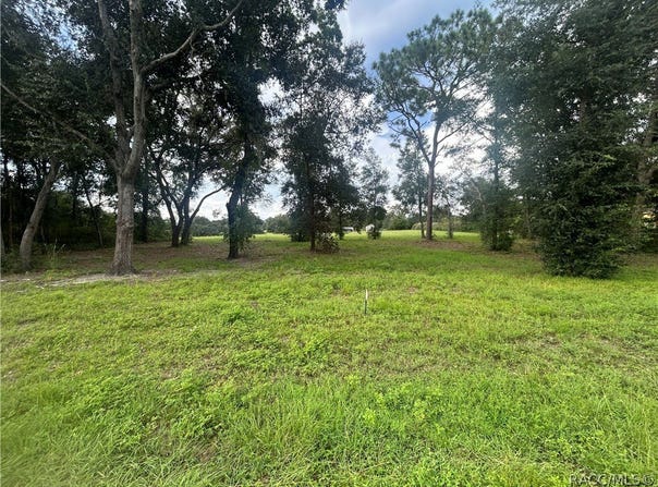 703 E Dunbar Lane, Hernando, FL 34442