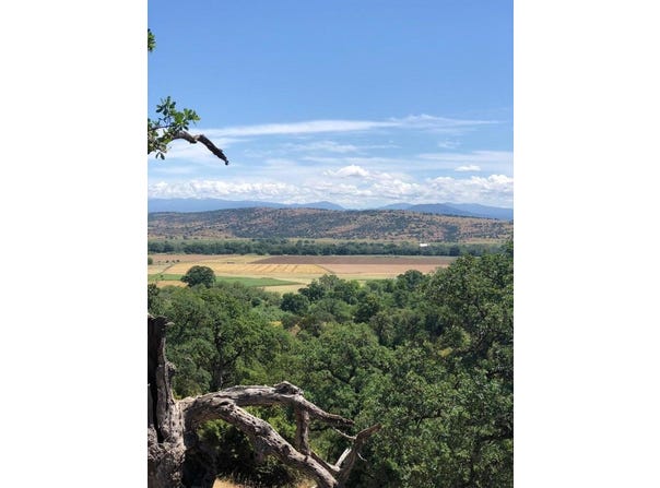 19828 Antelope Creek Drive, Cottonwood, CA 96022