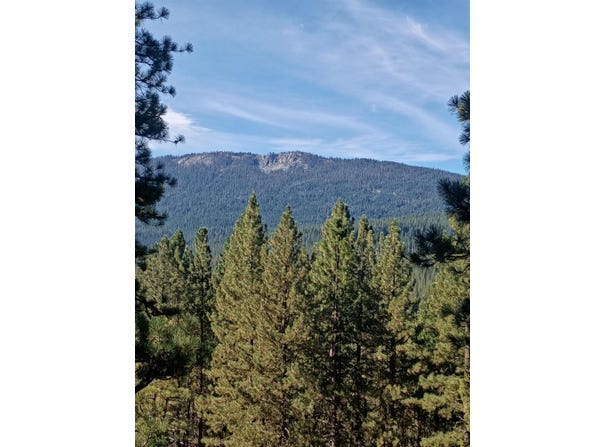 1701 Grey Squirrel Road, Clio, CA 96106-0000