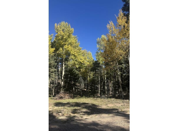 Vail Loop lot: 363, Angel Fire, NM 87710