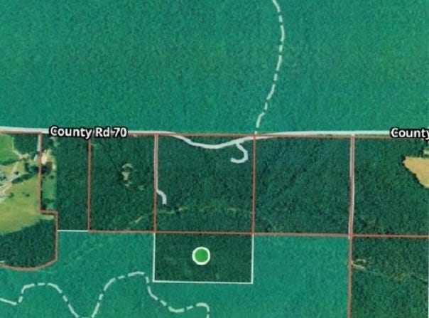 Posey Hollow Forest Road, Mena, AR 71953-9999