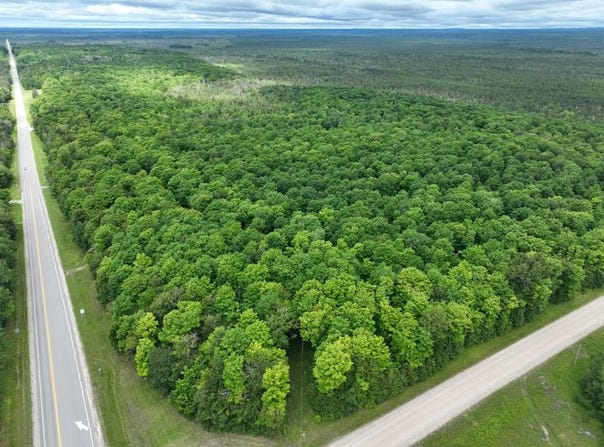 M-28, McMillan, MI 49853