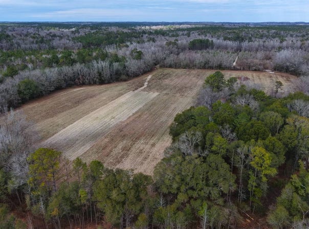 Mulberry Road, Brantley, AL 36009