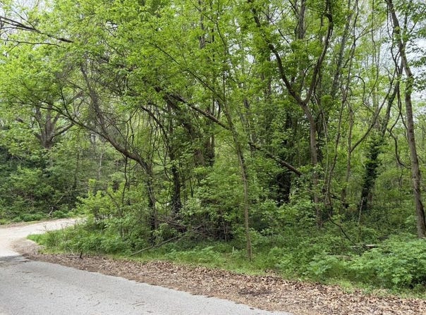 Eureka Avenue, Seligman, MO 65745