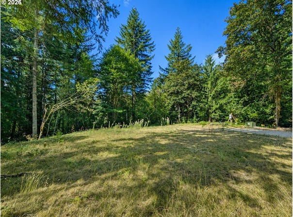 NE SCHAUER Dr, BattleGround, WA 98604