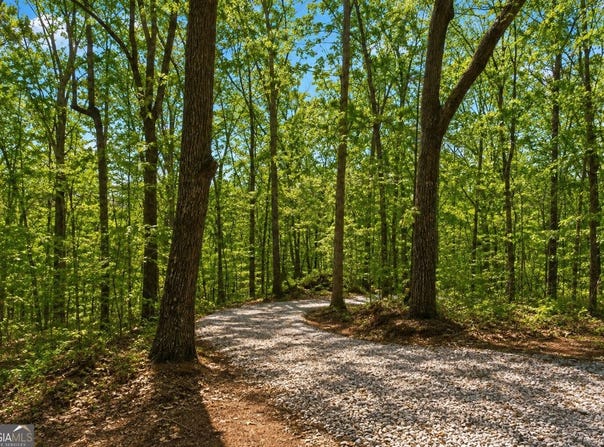 Davis Road, Eastanollee, GA 30538