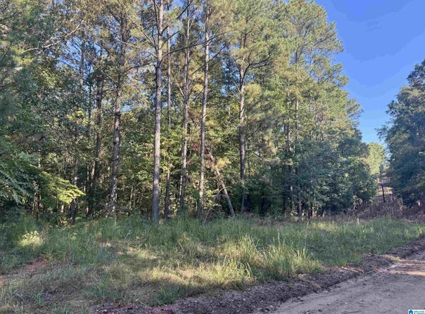LANE BRANCH ROAD lot: 19.28 Acres, WEDOWEE, AL 36278