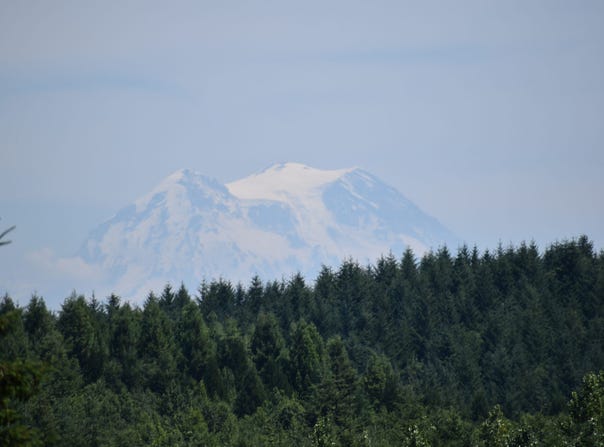 12345 Case RD SW, Olympia, WA 98512