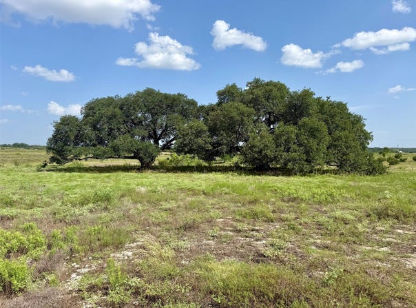 13AC TBD PR FM 2905, Hamilton, TX 76531