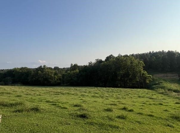 Wilkerson Road, Adolphus, KY 42120
