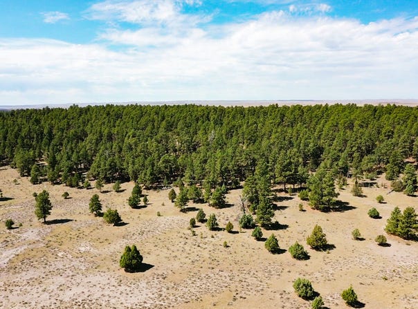 Pine ridge road, Moorcroft, WY 82721