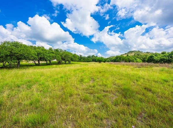 147 Gray Wolf, Blanco, TX 78606