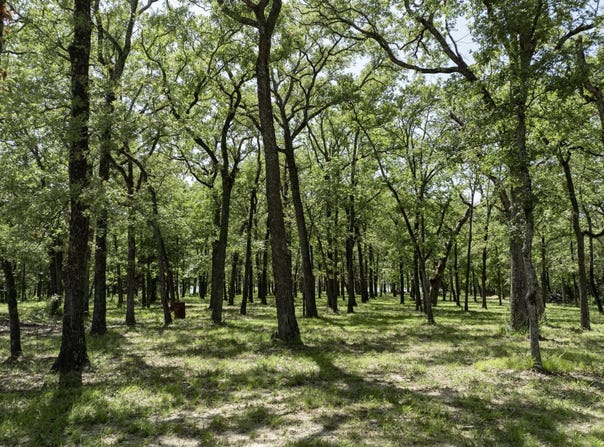 Anchor lot: 71, Quinlan, TX 75474