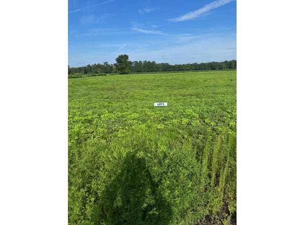 2100-5 York Rd, Green Sea, SC 29545