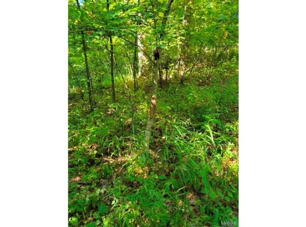 County Hwy 410, Ellington, MO 63638