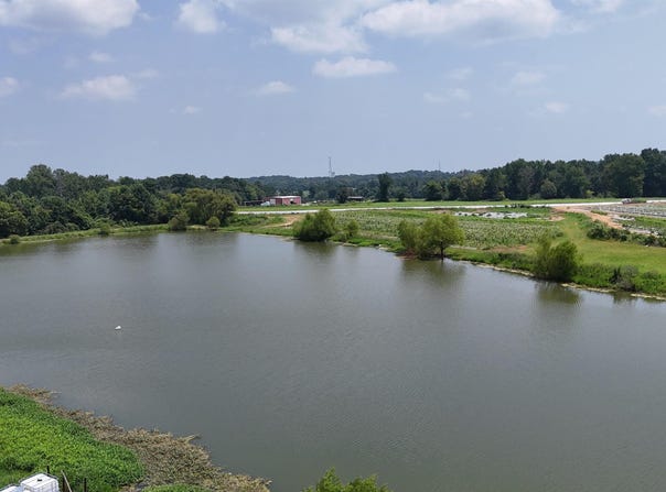 1780 COUNTY ROAD 42, STEELE, AL 35987