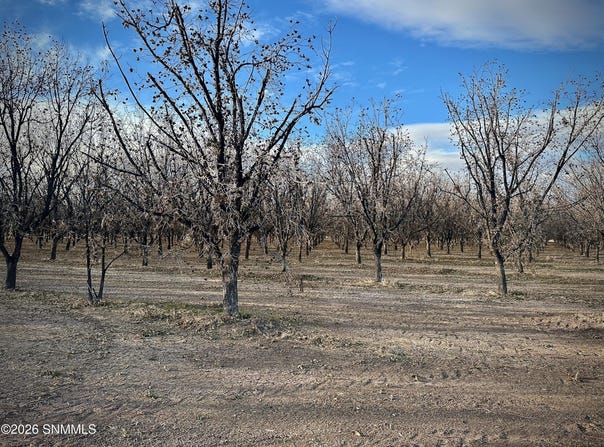 Gillett Road, Anthony, NM 88021