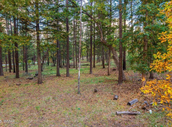 COUNTY ROAD 2196, Alpine, AZ 85920