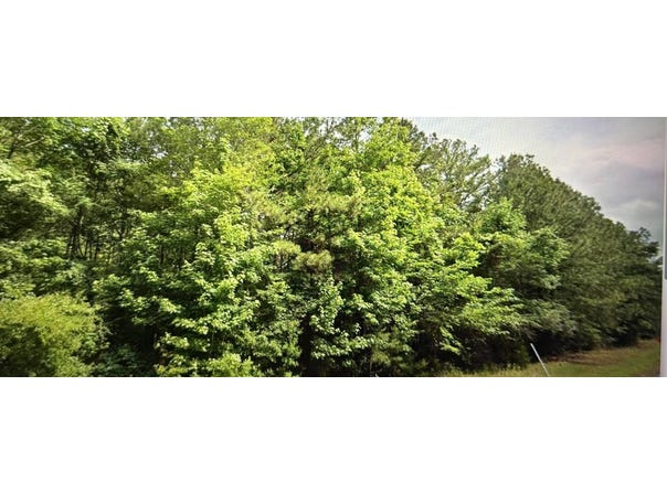 0 Hwy 8, Lena, LA 71447