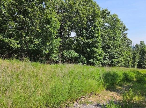 W Horseshoe Drive, Cookson, OK 74451