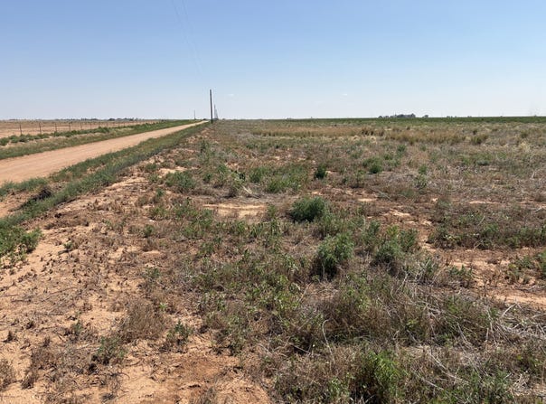 Elk Road, Levelland, TX 79336