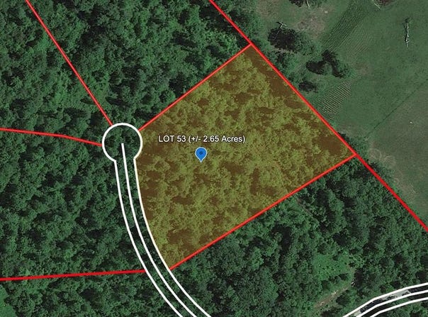 114 WILDFLOWER LANE, BRAGG, WV 25918