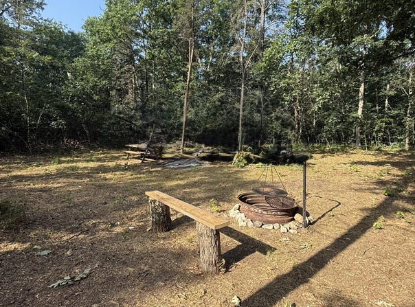 3544 S Cornell Avenue, Baldwin, MI 49304