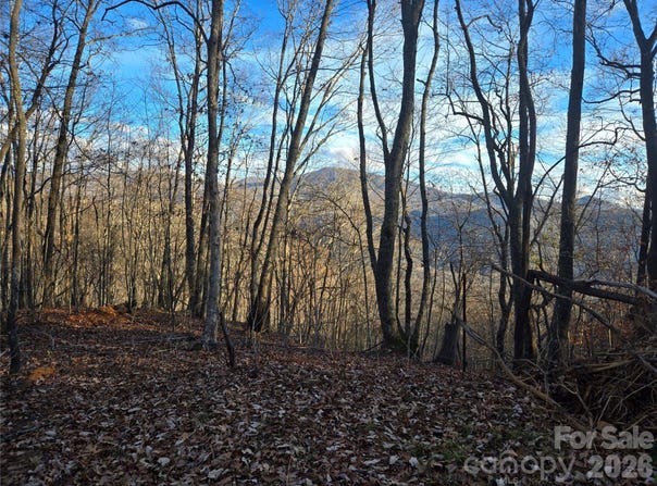 Brasstown Road, Cullowhee, NC 28723