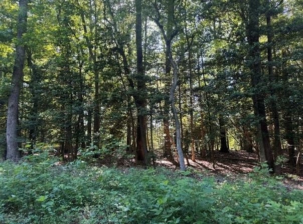 Cod Creek Drive lot: 14, HEATHSVILLE, VA 22473
