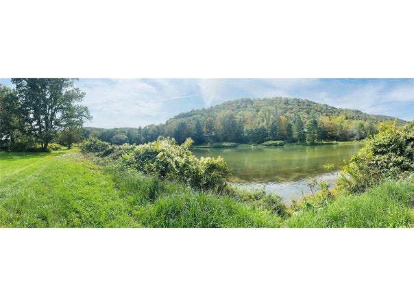 10-48 Evans, DEPOSIT, NY 13783