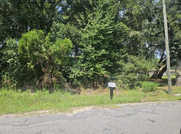 1123 Langdoc Street, Moncks Corner, SC 29461