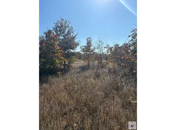 TRACT 13 HWY 990, Simms, TX 75574
